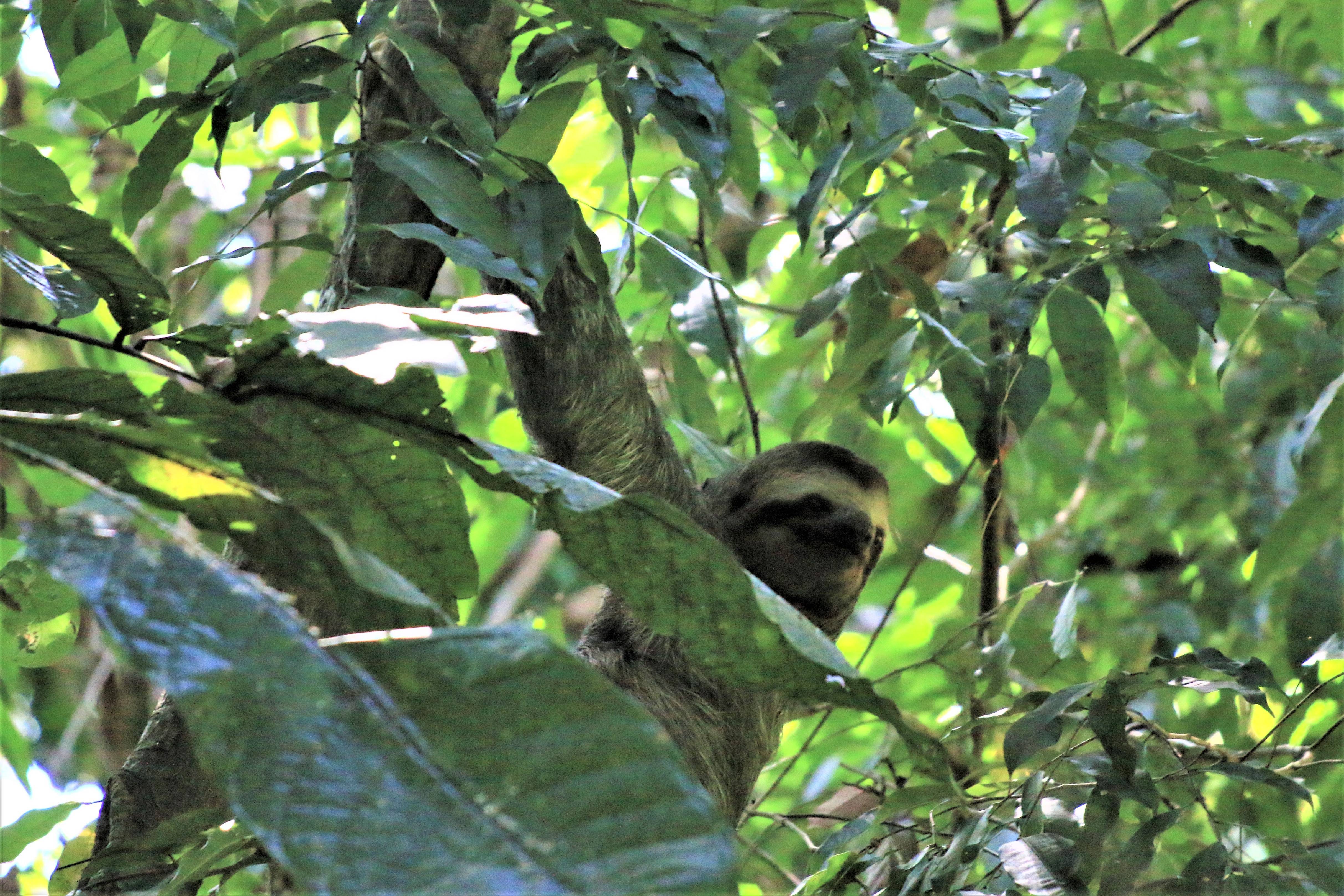 Costa Rica